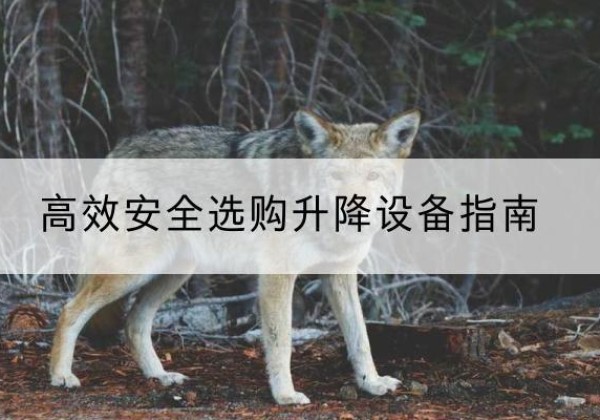 淮安升降货梯厂家推荐-*安全选购升降设备指南