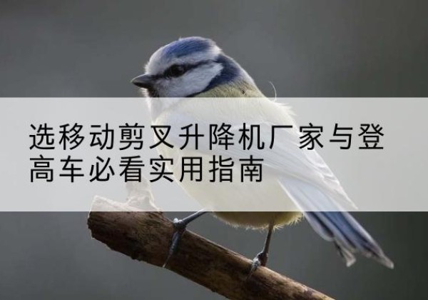 淮安电动升降机厂家-选移动剪叉升降机厂家与登高车必看实用指南